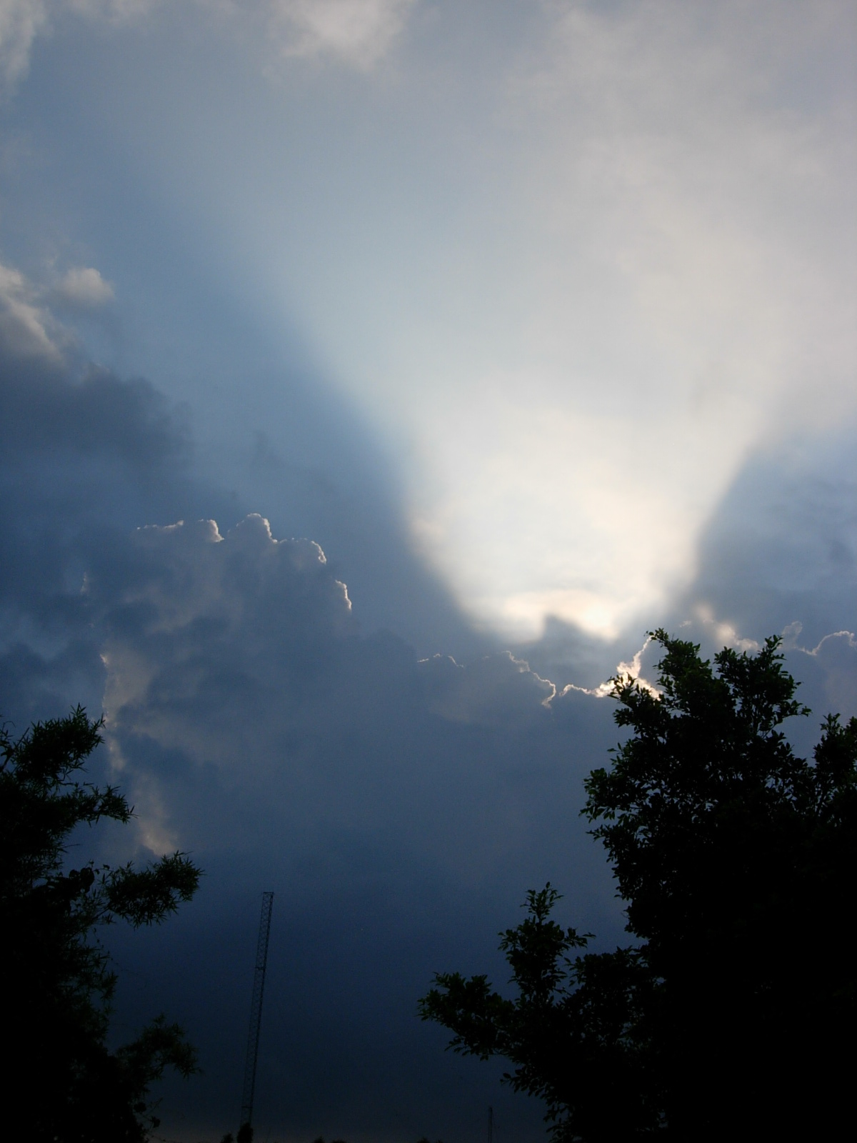b0100372_691824.jpg