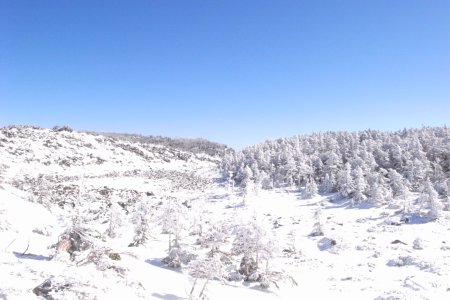 b0183680_0242918.jpg