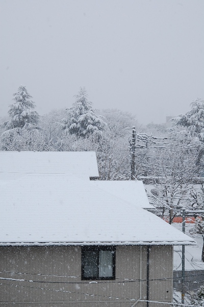 b0143983_14521333.jpg