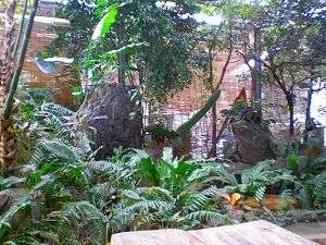 a0109288_123838.jpg