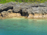 a0109288_1481894.jpg