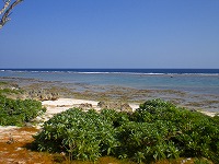 a0109288_233229.jpg