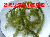 a0109288_943868.jpg
