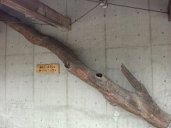 a0004391_22521033.jpg