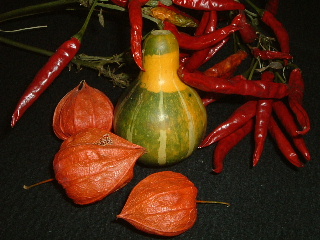 f0215591_23225685.jpg