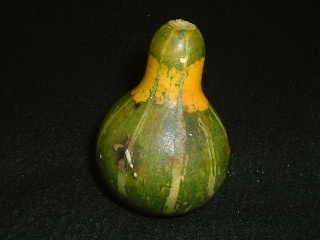 f0215591_2352931.jpg