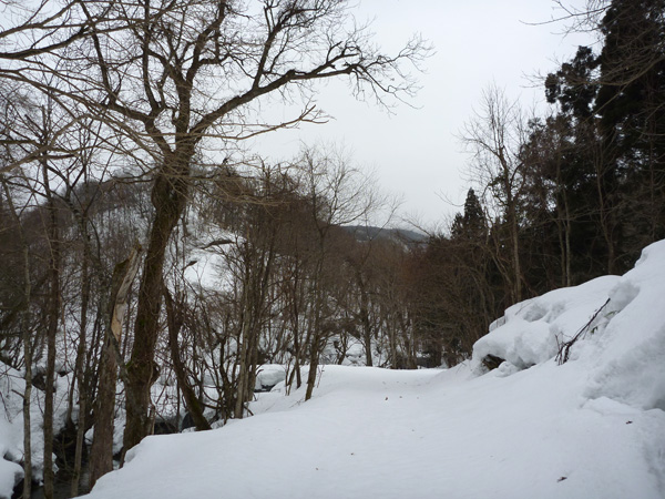 a0043193_21344261.jpg