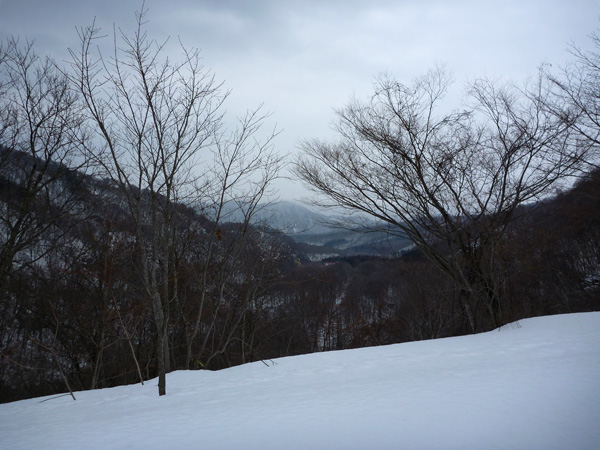 a0043193_21351713.jpg