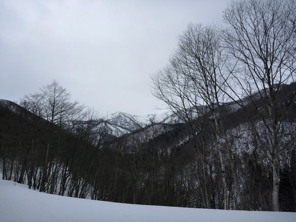 a0043193_21353272.jpg