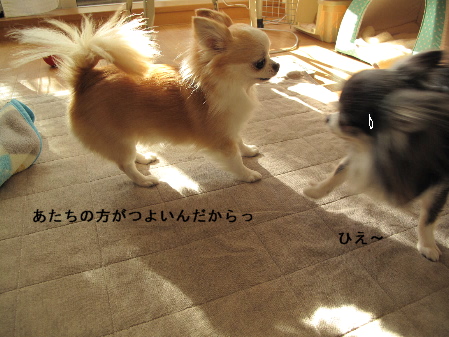 a0079803_22352942.jpg
