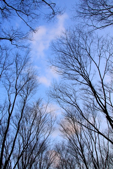 b0180907_23113988.jpg