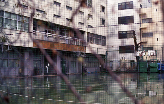 a0008508_326485.jpg