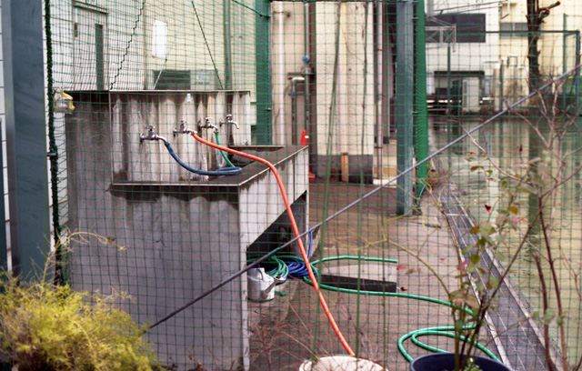 a0008508_32726100.jpg