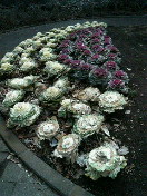 f0127408_21174258.jpg