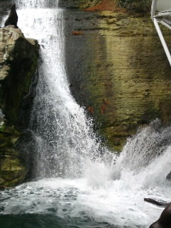 b0021311_19323753.jpg