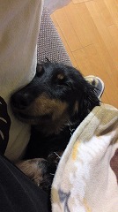 b0184211_1263557.jpg