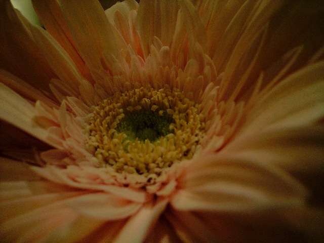 e0087511_14365721.jpg
