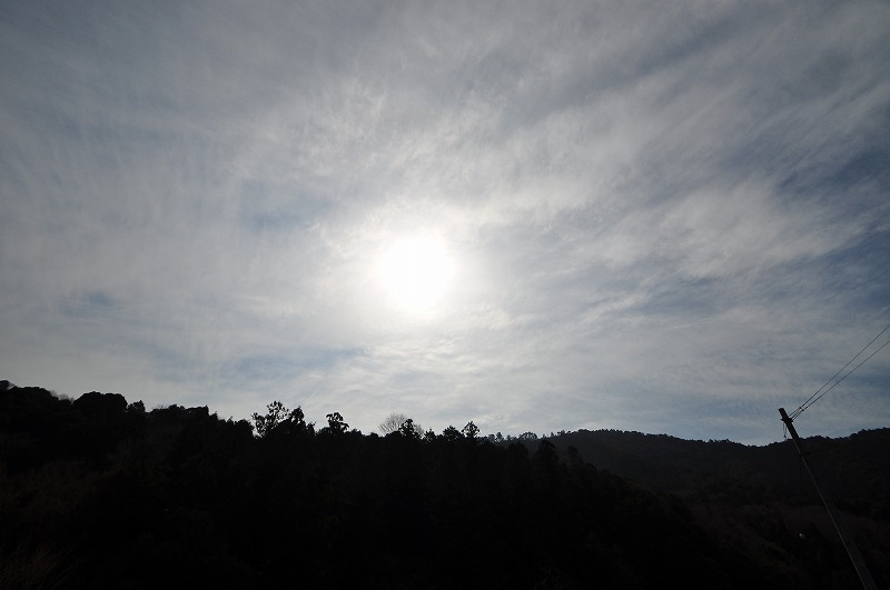 a0159215_2240753.jpg