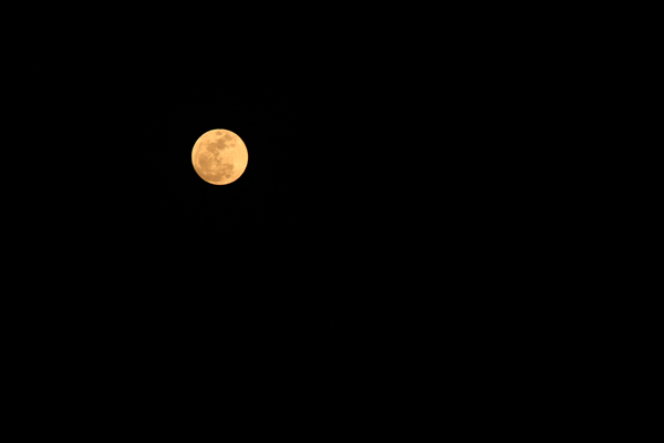 f0181018_5571848.jpg