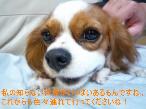 f0214121_2262685.jpg