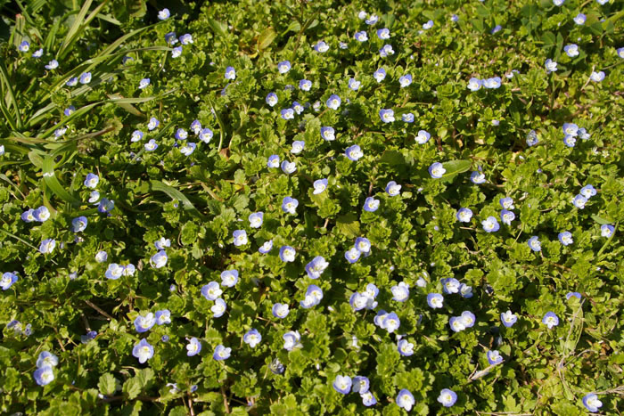 a0114222_211615.jpg