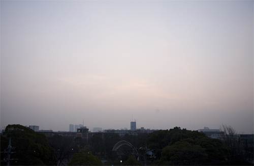 c0182022_1072838.jpg