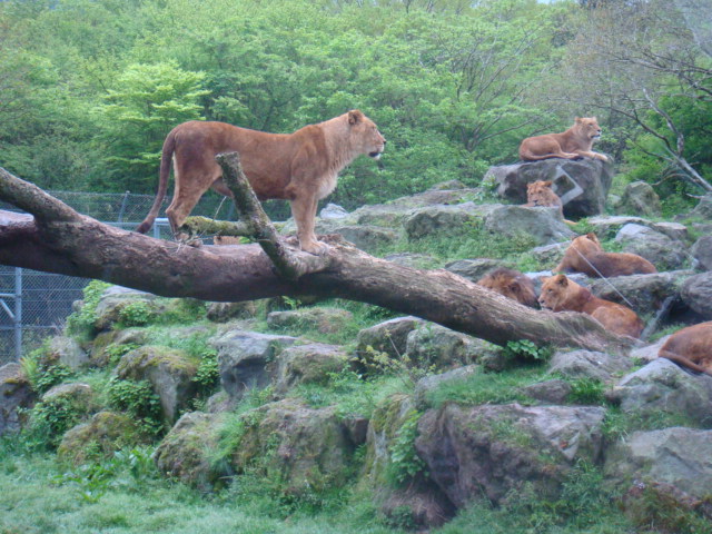 d0142525_23515698.jpg