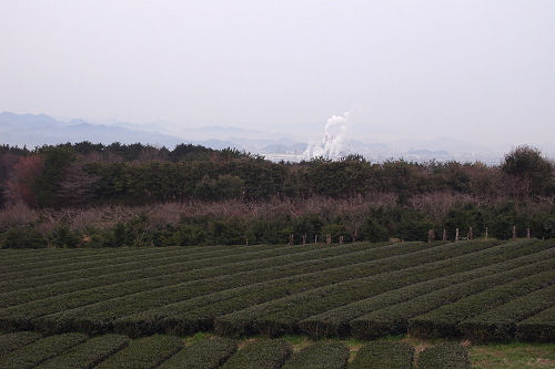 f0007926_115856.jpg