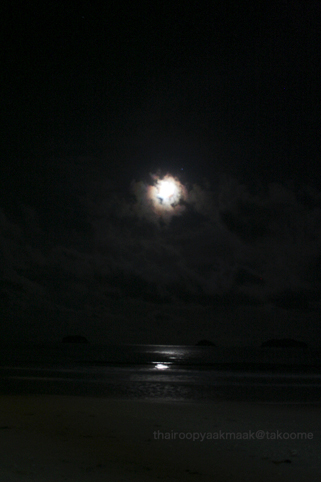 d0042827_1475481.jpg