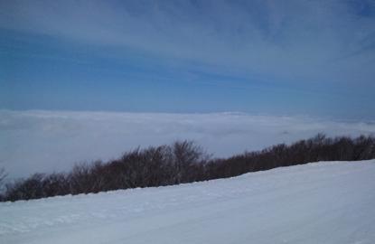 c0109828_10412980.jpg