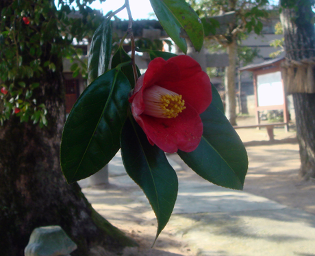 a0129233_1225428.jpg
