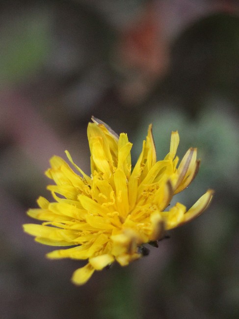 c0125735_2093094.jpg