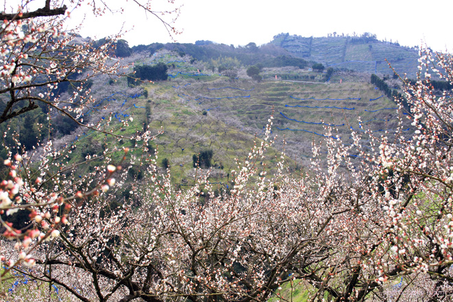 e0083238_22254626.jpg