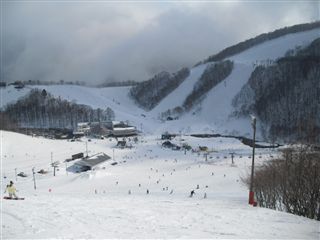d0132743_10574632.jpg