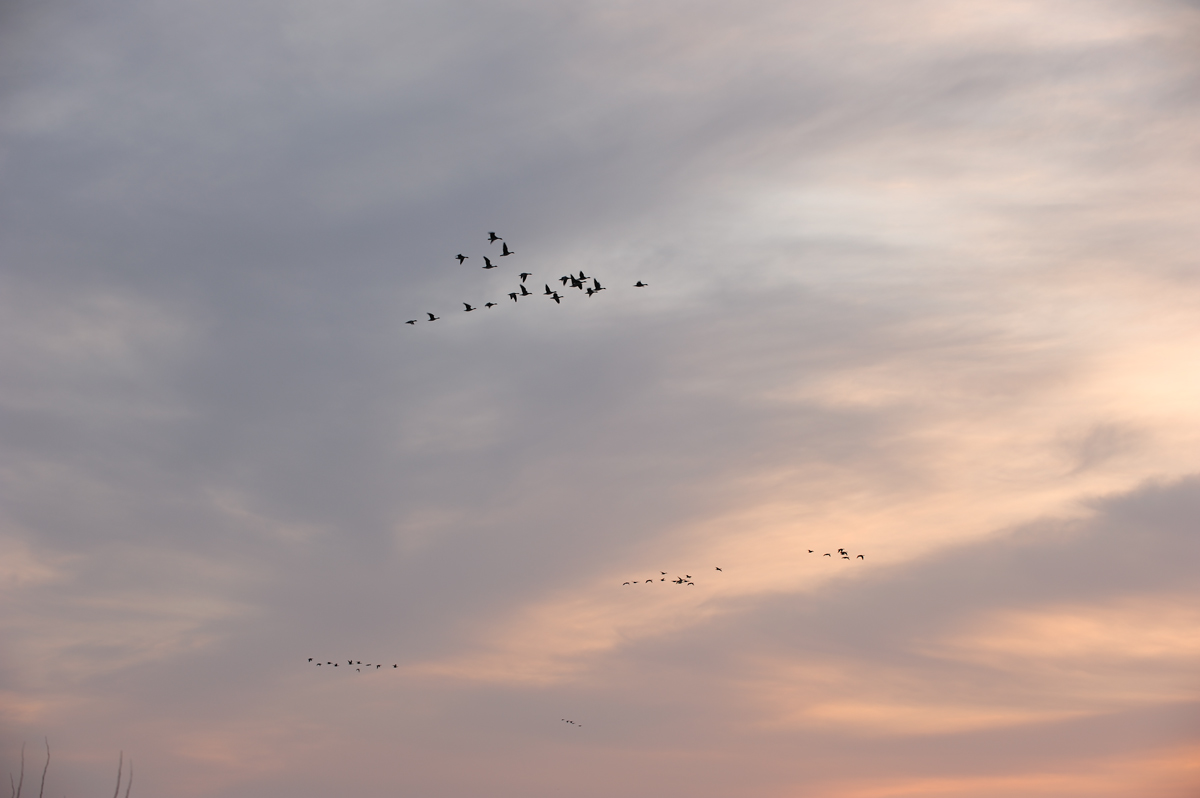 a0039245_0463338.jpg