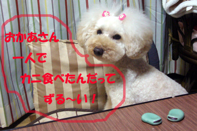 d0070047_17501787.jpg