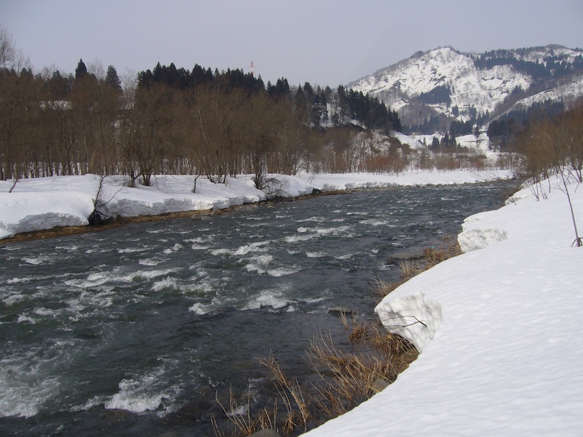 a0073053_2042342.jpg