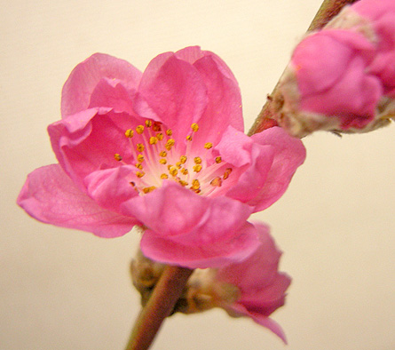 a0001354_21545655.jpg
