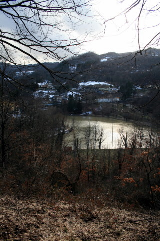 f0077159_4453952.jpg