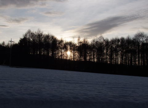 e0088260_2383369.jpg