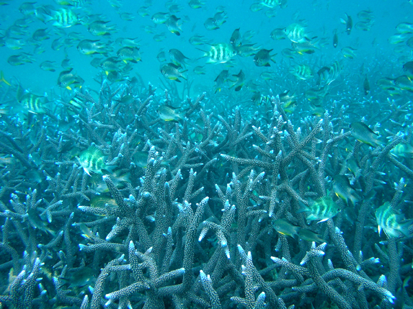 b0062363_2232734.jpg