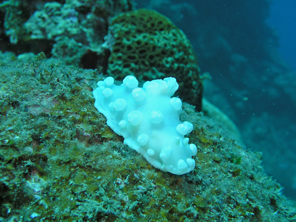 b0062363_2234594.jpg
