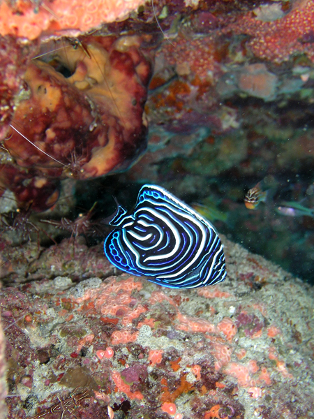 b0062363_223583.jpg