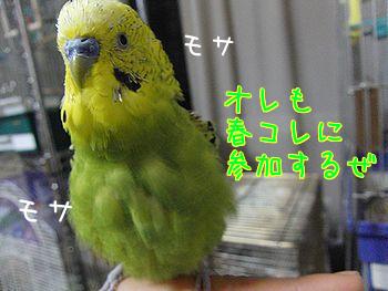 f0196665_23485810.jpg