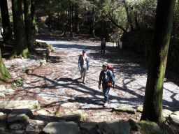c0042869_2075850.jpg