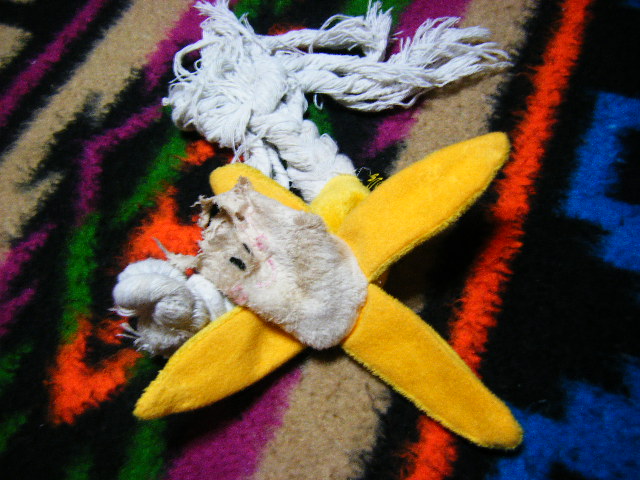 f0207970_1957644.jpg