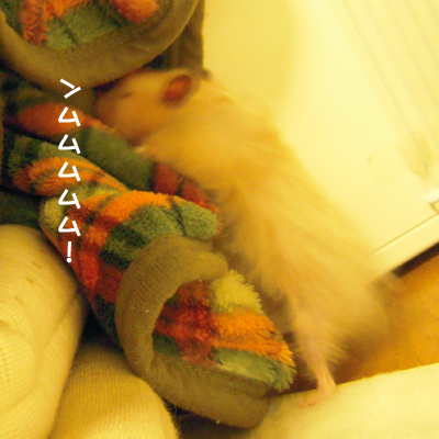 c0160473_1420411.jpg