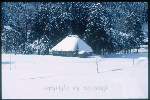 c0195281_7391611.jpg