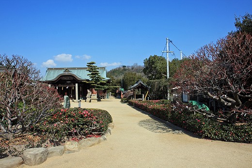 e0190885_1945980.jpg