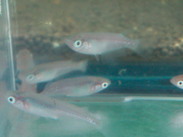 e0192991_22534238.jpg